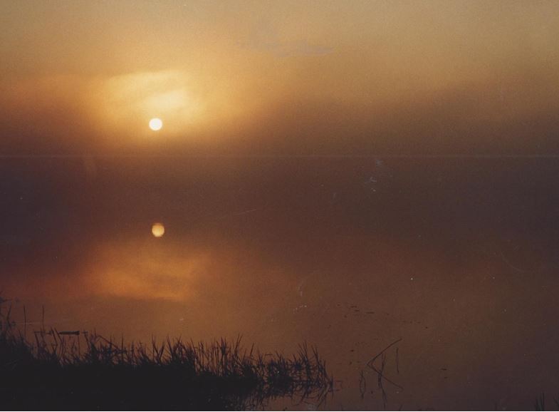 Sunrise in the Mist